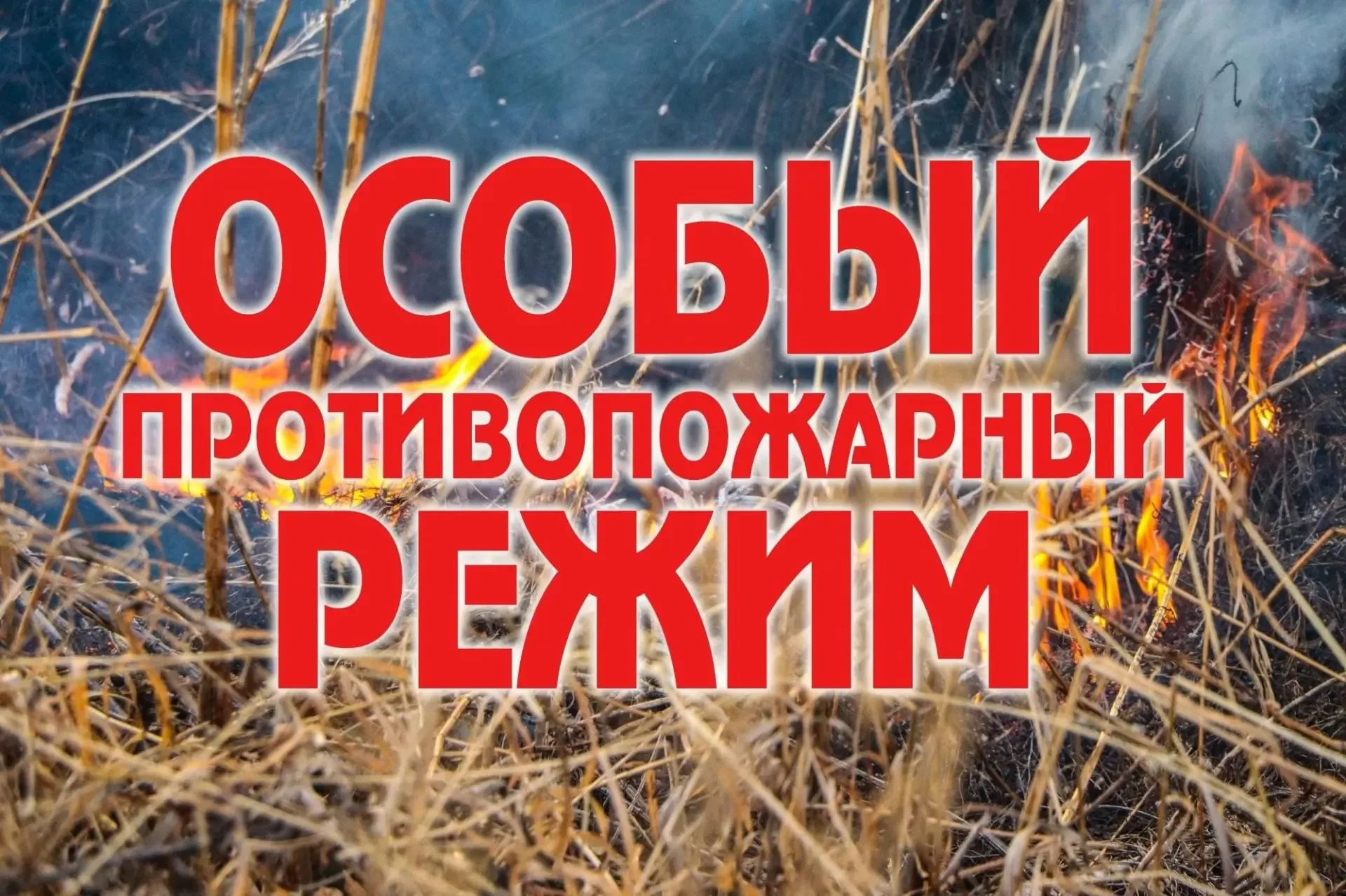 Уважаемые жители Иркутского Административного округа! В период с 18 мая 2026  по 15 июня 2026 г. в И