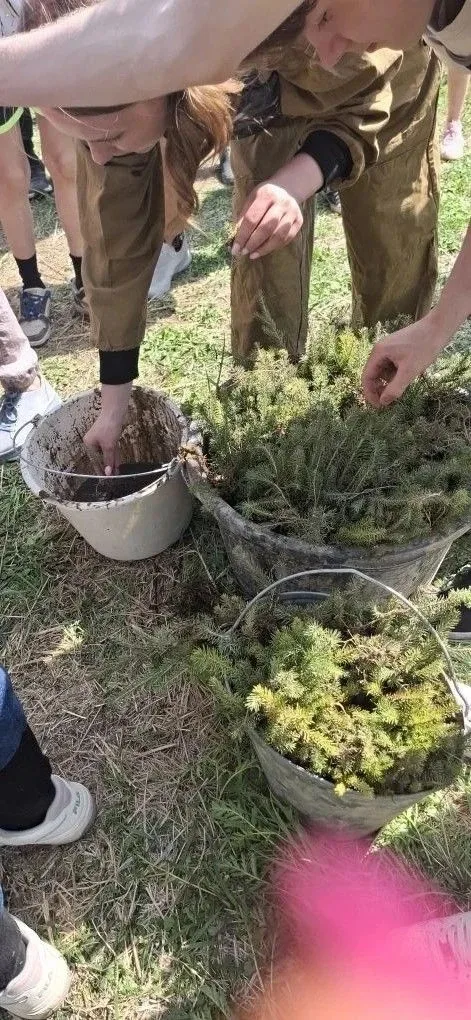 17 мая в Шарташском лесопарке развернулась масштабная экологическая акция «Леса Первых. Деревья друж