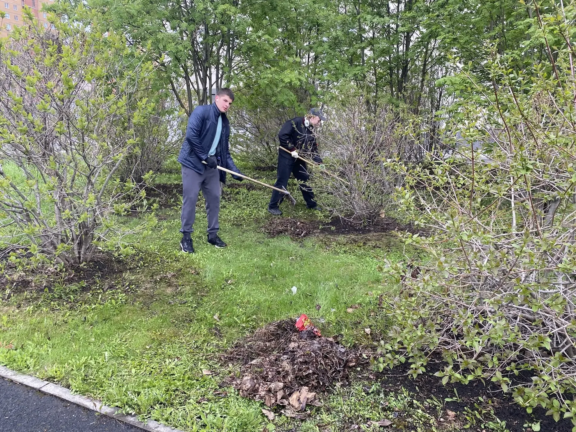 🌾 Трудовой практикум на пришкольном участке: десятиклассники преображают школьный двор! 📌В течение н