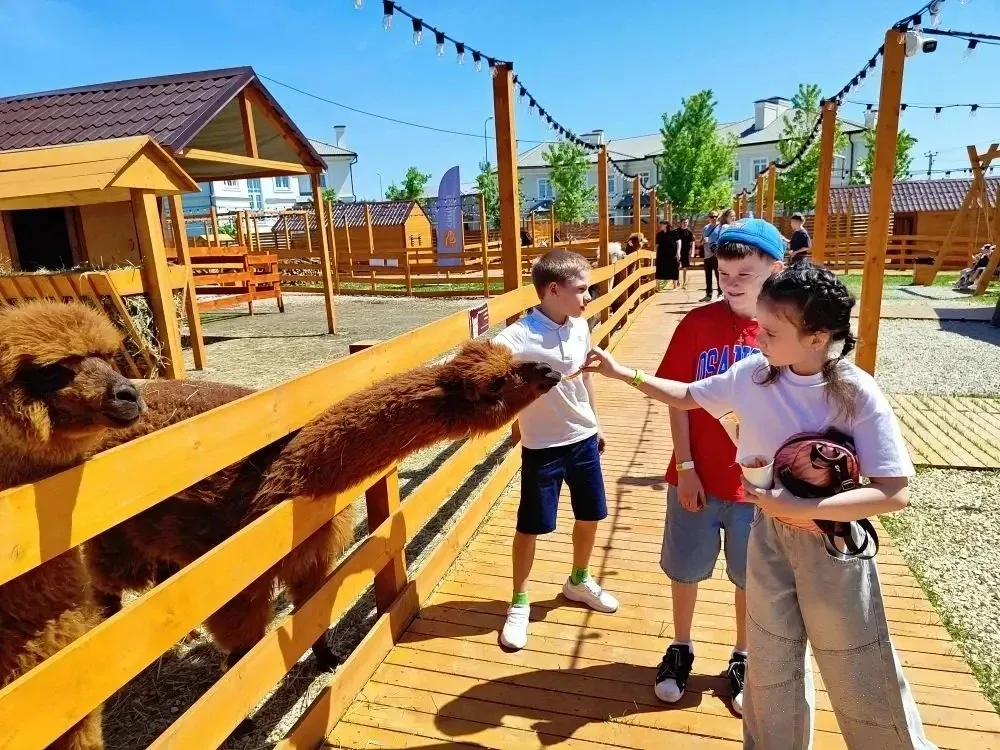 🦙 В гостях у альпак  ✨ Море положительных эмоций получили учащиеся 3 "Б" класса (классный руководите