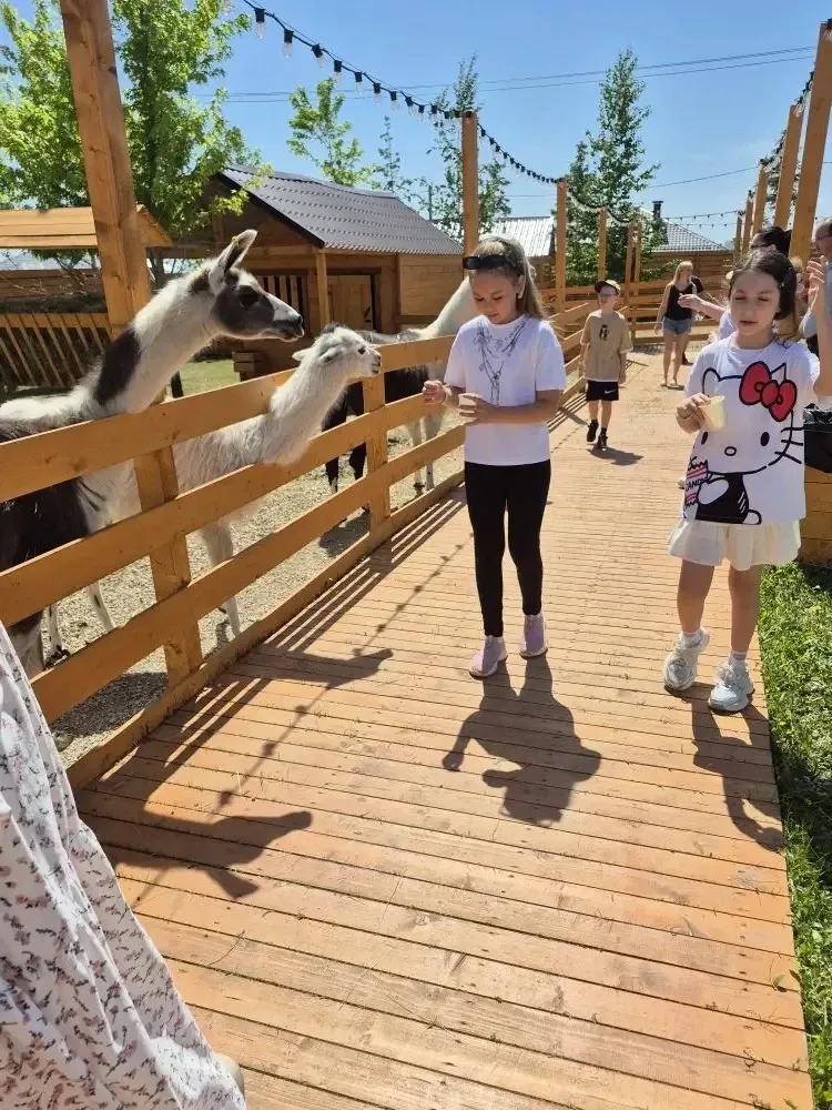 🦙 В гостях у альпак  ✨ Море положительных эмоций получили учащиеся 3 "Б" класса (классный руководите