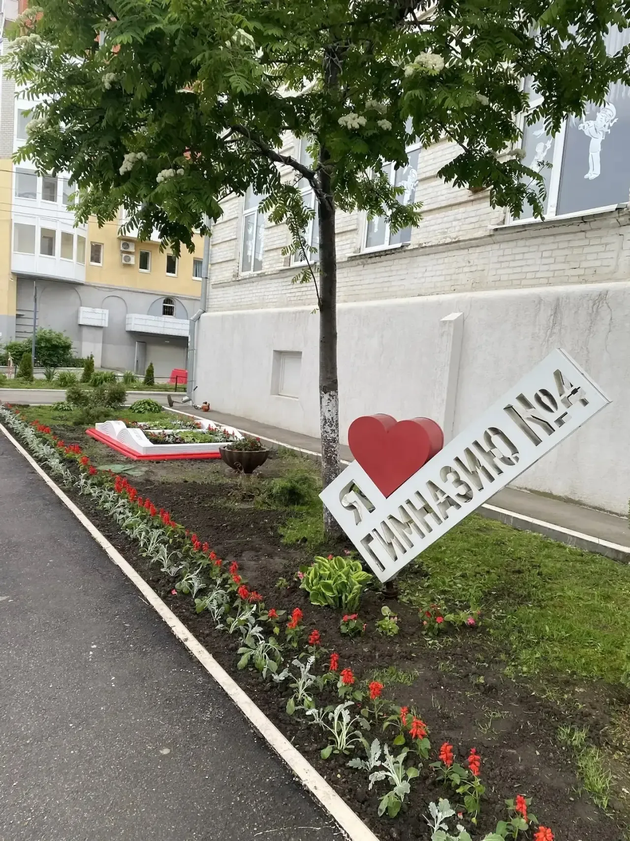 ✨ Цветущий школьный двор - результат нашей общей заботы  🪻Наша гимназия стала центром большого добро
