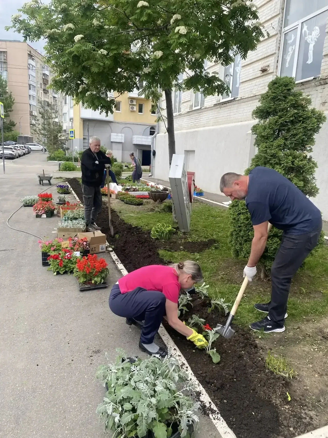 ✨ Цветущий школьный двор - результат нашей общей заботы  🪻Наша гимназия стала центром большого добро