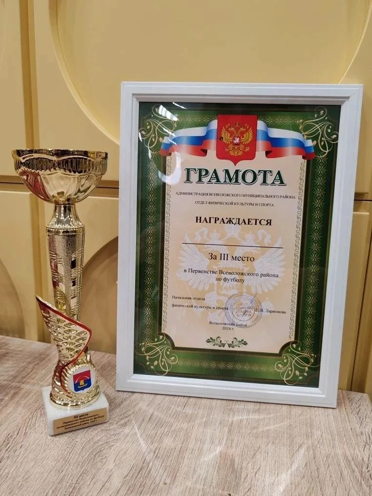 Юные спортсмены Муринской СОШ №3 стали призёрами чемпионата Всеволожского района по футболу!🏆  Потер