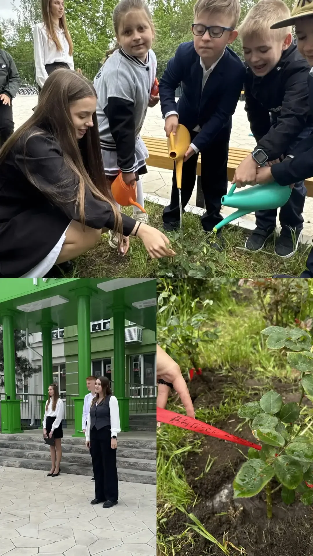 🌹 Новая традиция «Мы в ответе за свою розу»   Сегодня в нашей школе была заложена новая традиция: вы