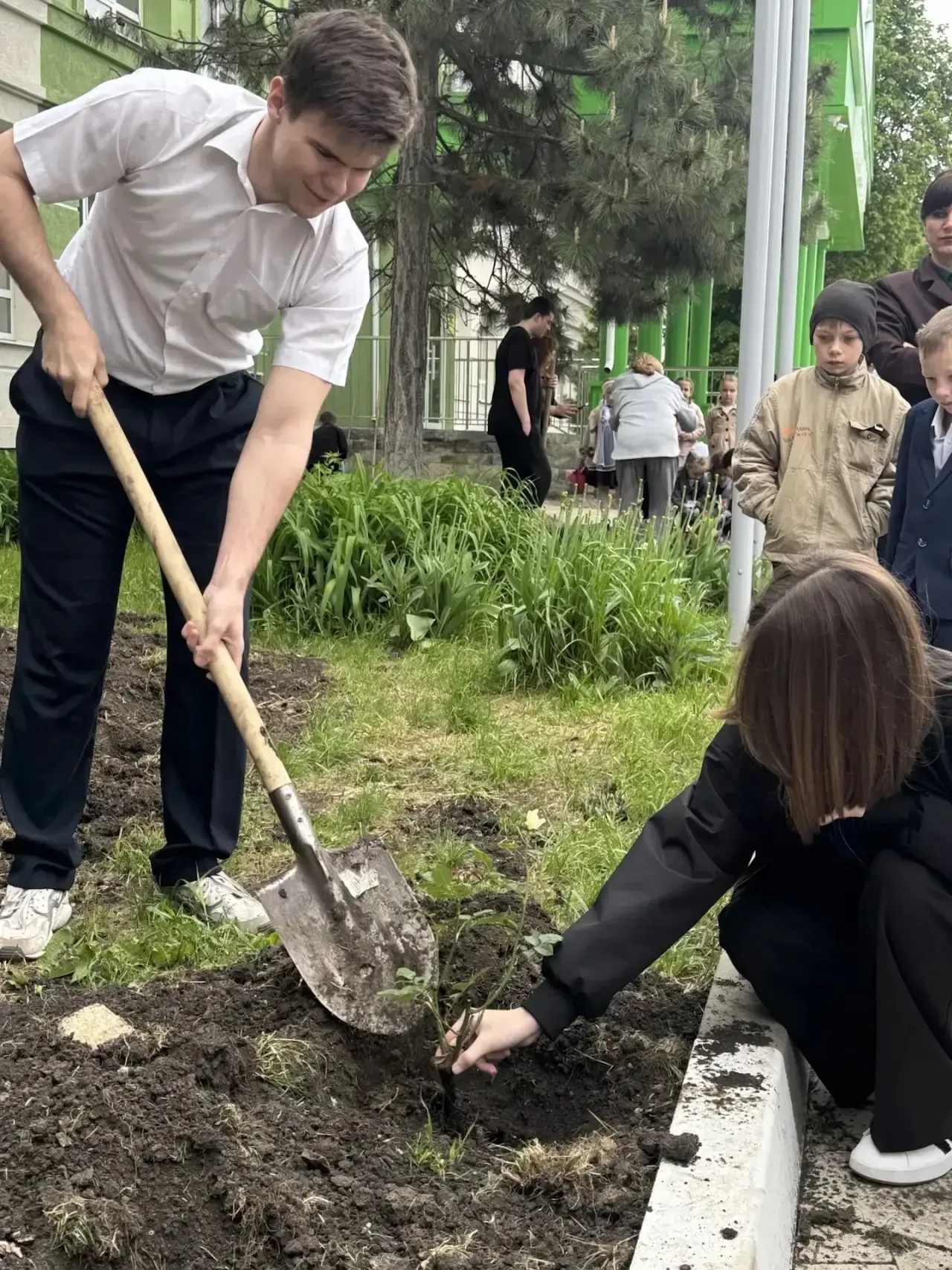 🌹 Новая традиция «Мы в ответе за свою розу»   Сегодня в нашей школе была заложена новая традиция: вы