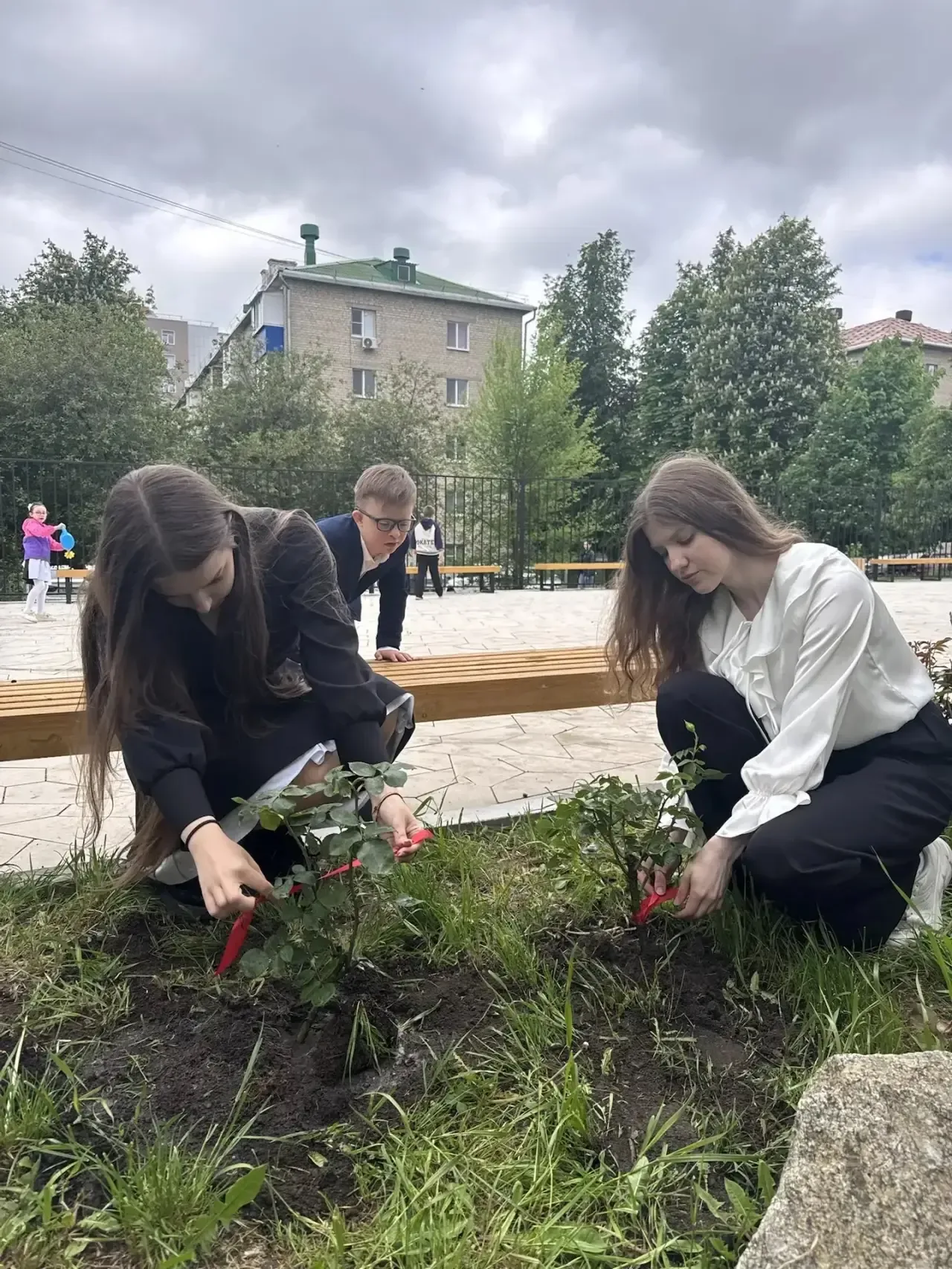 🌹 Новая традиция «Мы в ответе за свою розу»   Сегодня в нашей школе была заложена новая традиция: вы