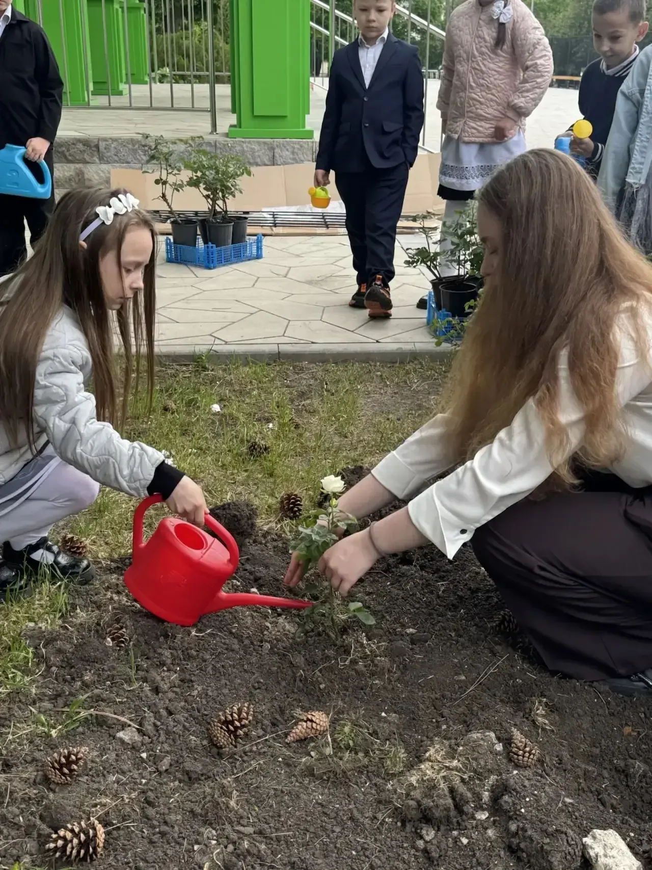 🌹 Новая традиция «Мы в ответе за свою розу»   Сегодня в нашей школе была заложена новая традиция: вы