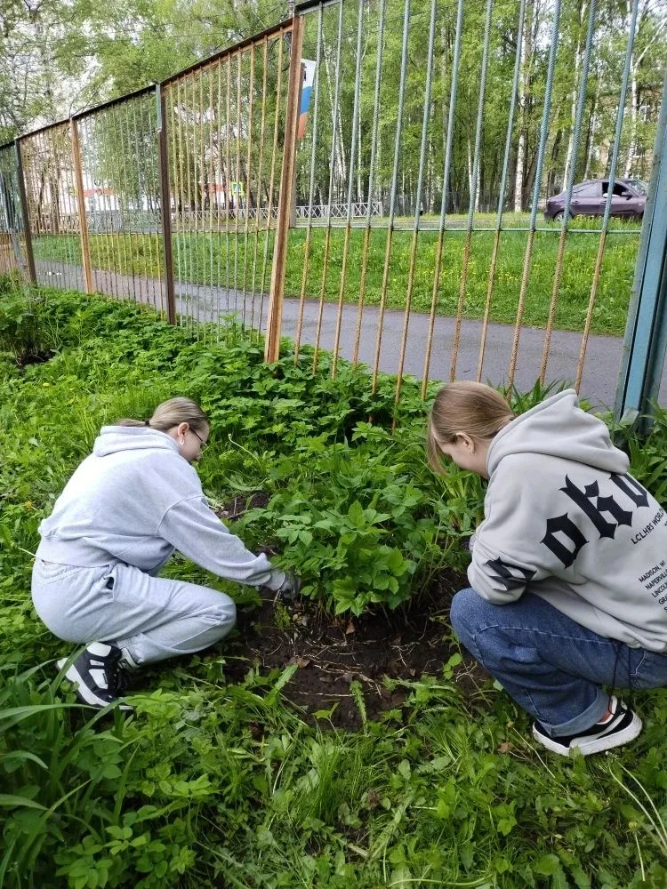 Вместе мы сила!   Сегодня учащиеся 9З и 9К классов Центра образования - школы 78 оказали значимую по