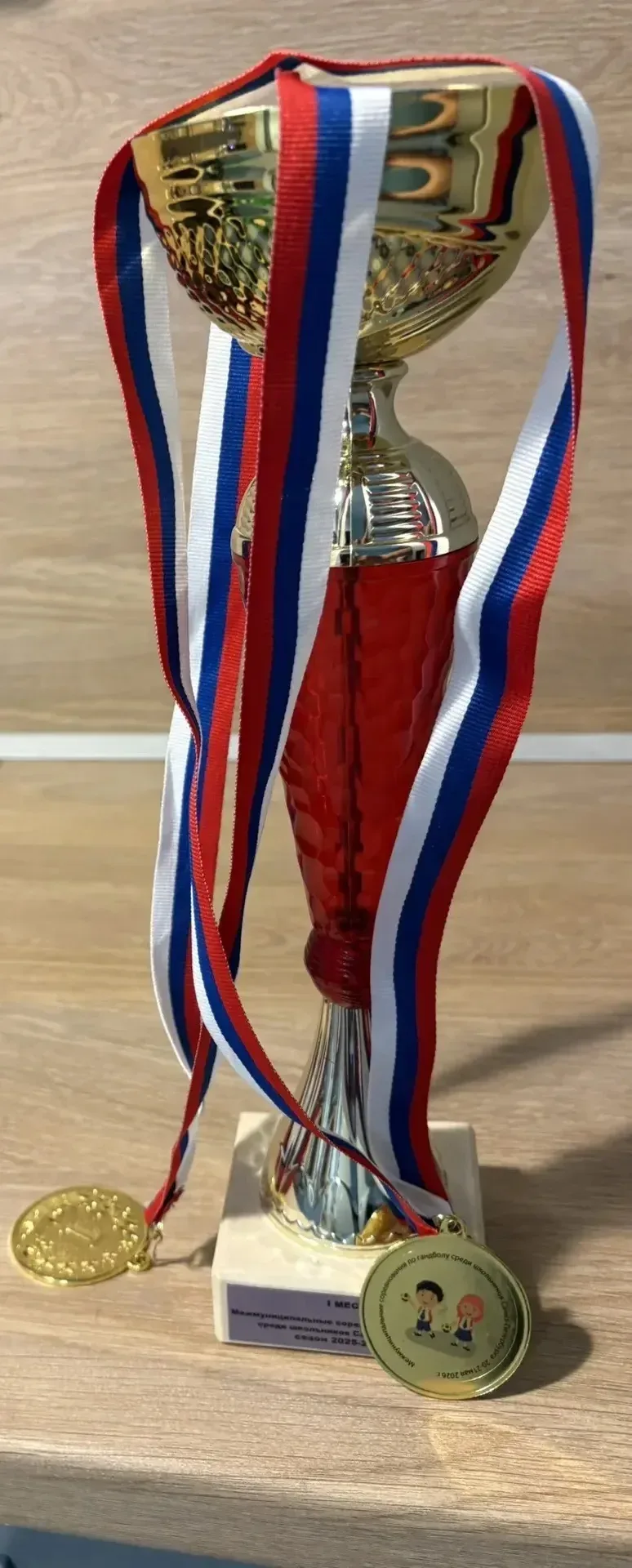 Двукратные чемпионы Санкт-Петербурга по гандболу 🥇🤾‍♀️🤾‍♂️🏆  21 мая на площадке СДЮШОР Кировского ра