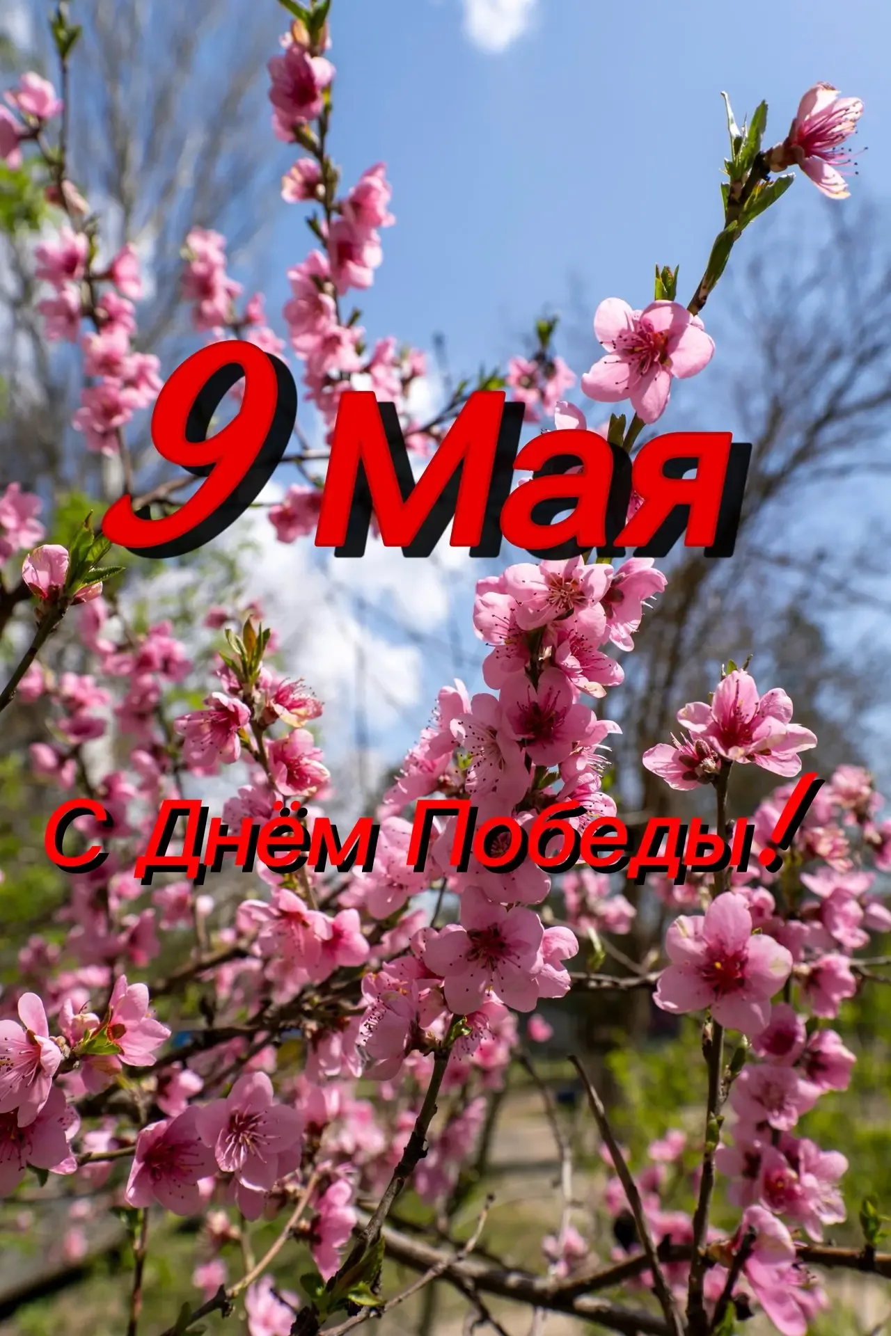 С Днем Великой Победы! 🇷🇺