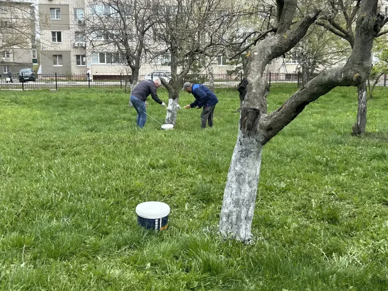 🌿 Весенний субботник – 2026: порядок, уют и труд во благо лицея! 🌿  Сегодня учащиеся и педагоги лице