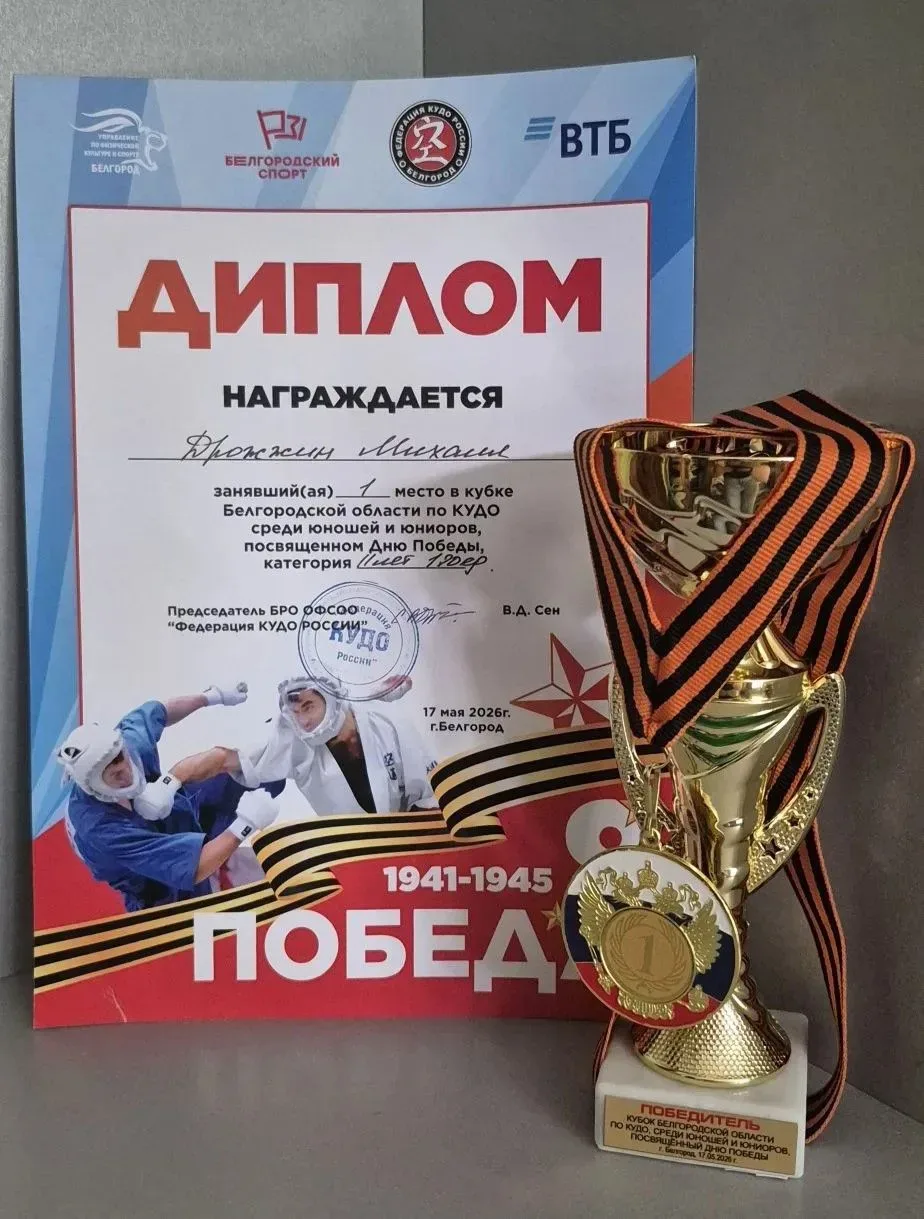 Достижения наших обучающихся. Дрожжин Михаил- 4г класс.  Классный руководитель: Немыкина М.В.  Учени