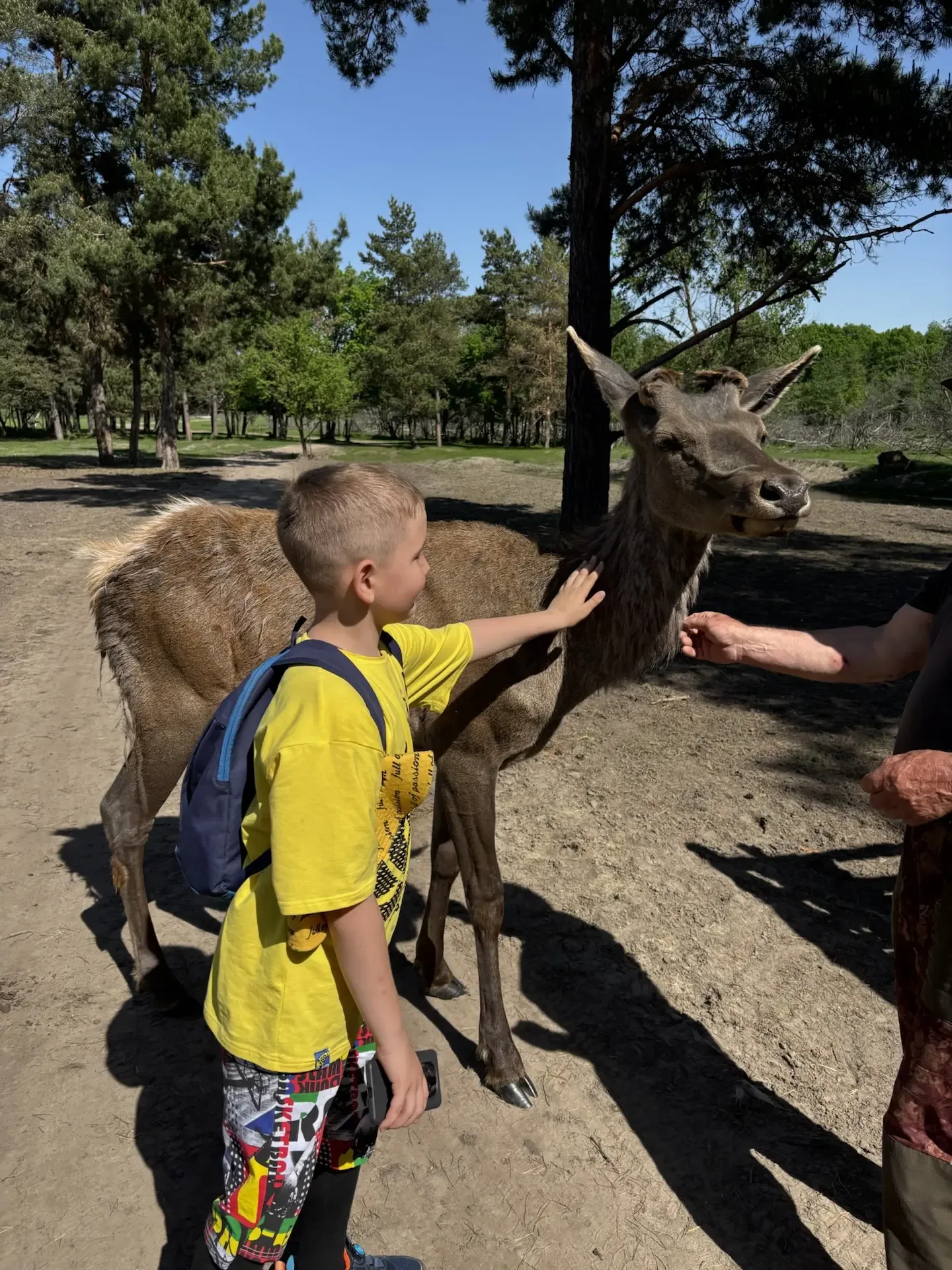 ▌ 🦌 Путешествие в Сафари-парк «Кречет»!  Ребята из 2А класса отправились в увлекательное путешествие
