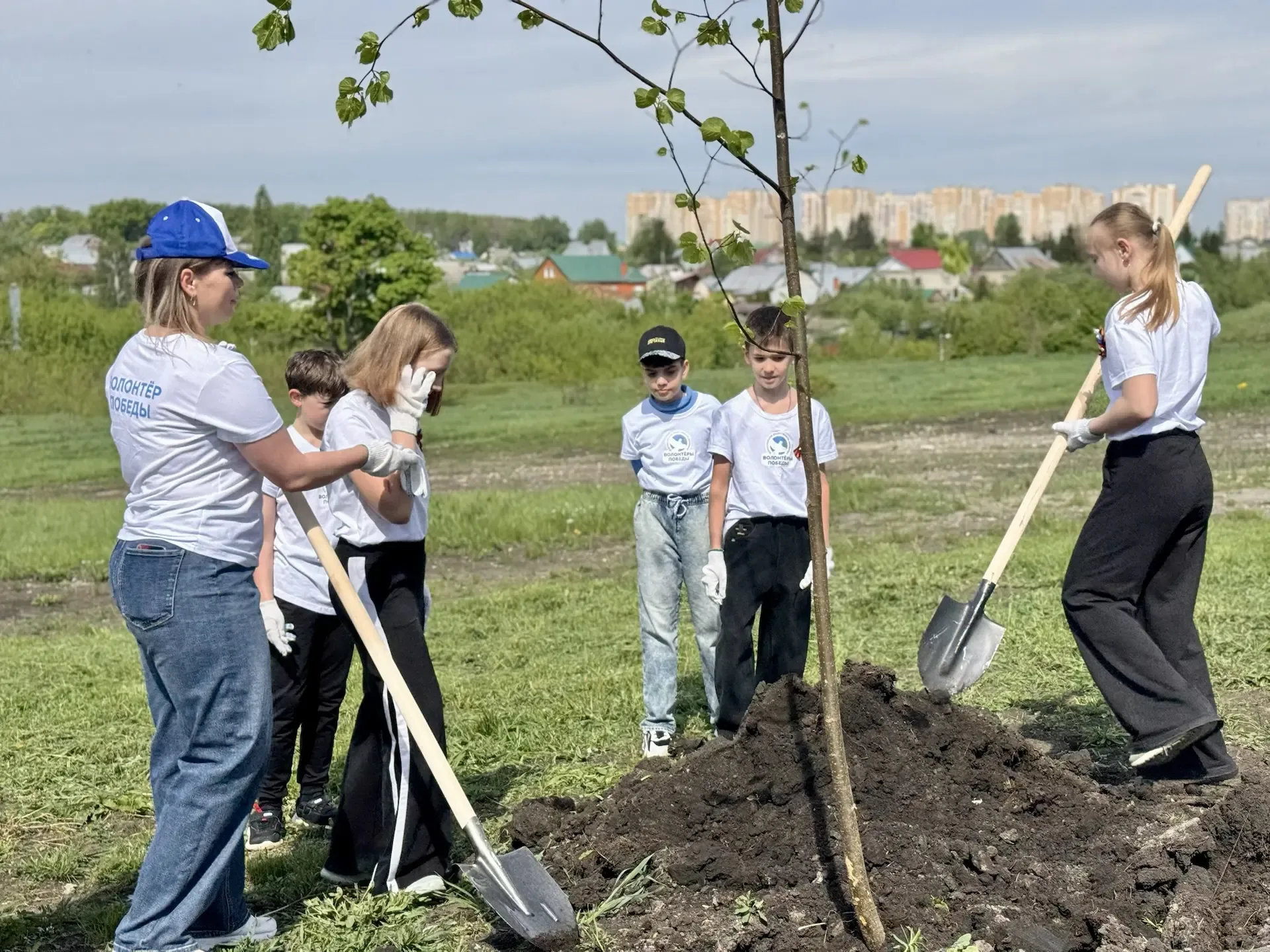 🌳🪏Сегодня активисты и семьи МАОУ СОШ №31 приняли участие в высадке саженцев крупномерных деревьев в 