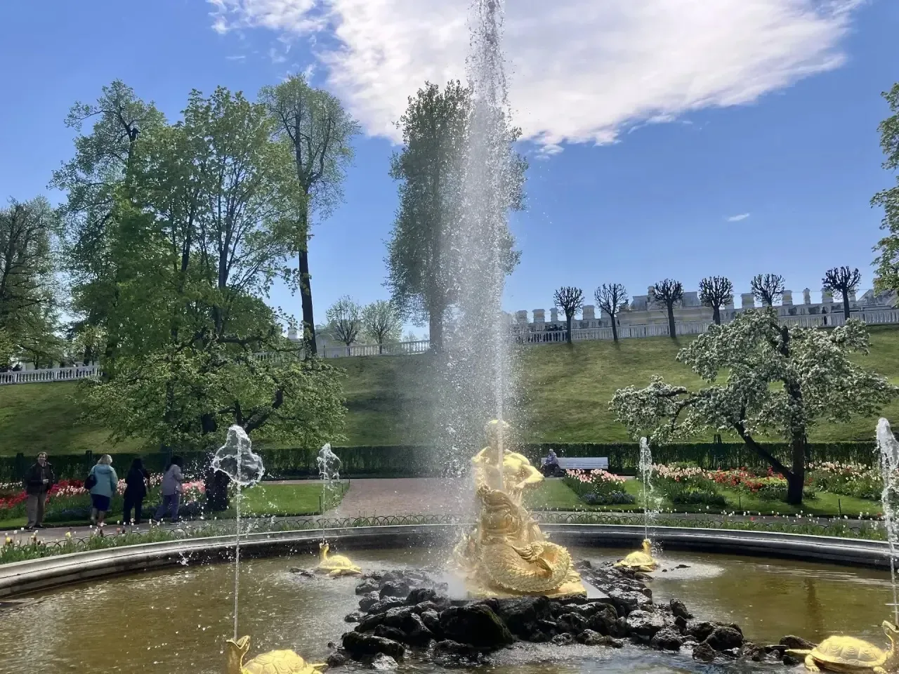 🌟 Путешествие в Петергоф: день, полный открытий и впечатлений!  Сегодня, 17 мая 2026 года, ребята из