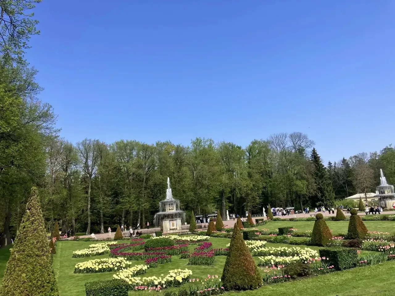 🌟 Путешествие в Петергоф: день, полный открытий и впечатлений!  Сегодня, 17 мая 2026 года, ребята из