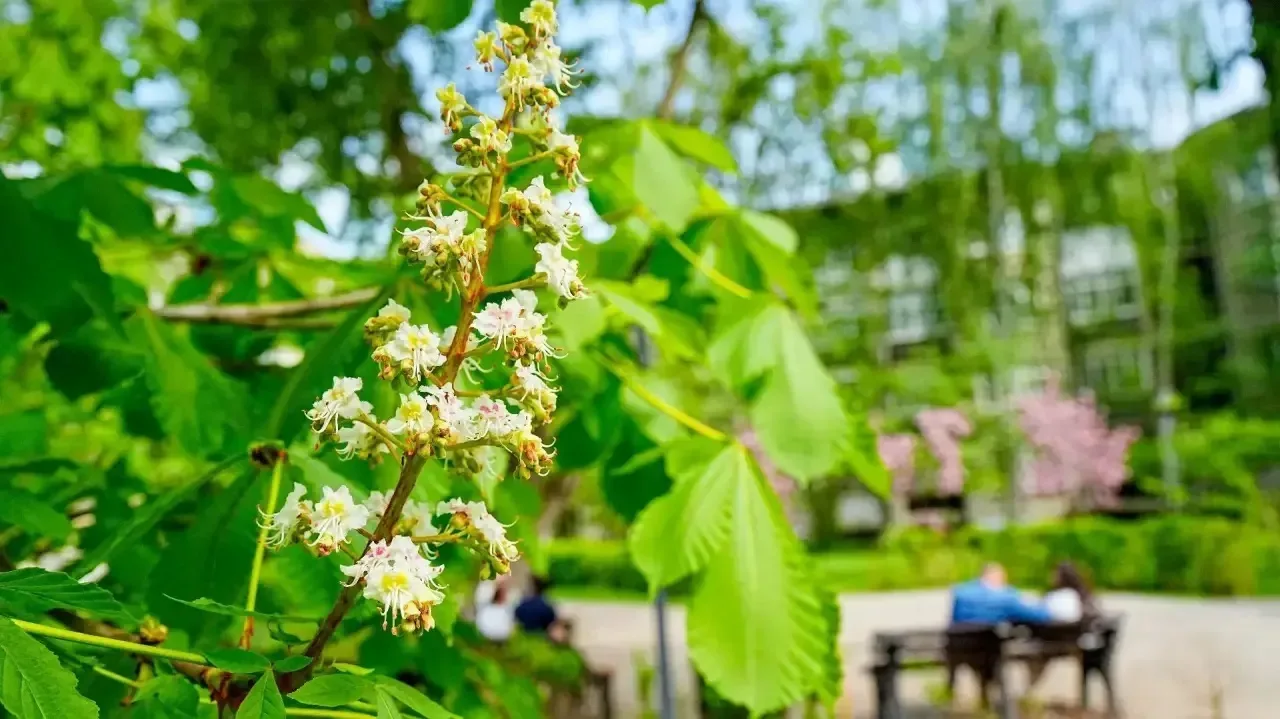 🌸Цветущий Нижний прекрасен!   Ловите момент! А чтобы продлить эту радость, теперь в любое время года