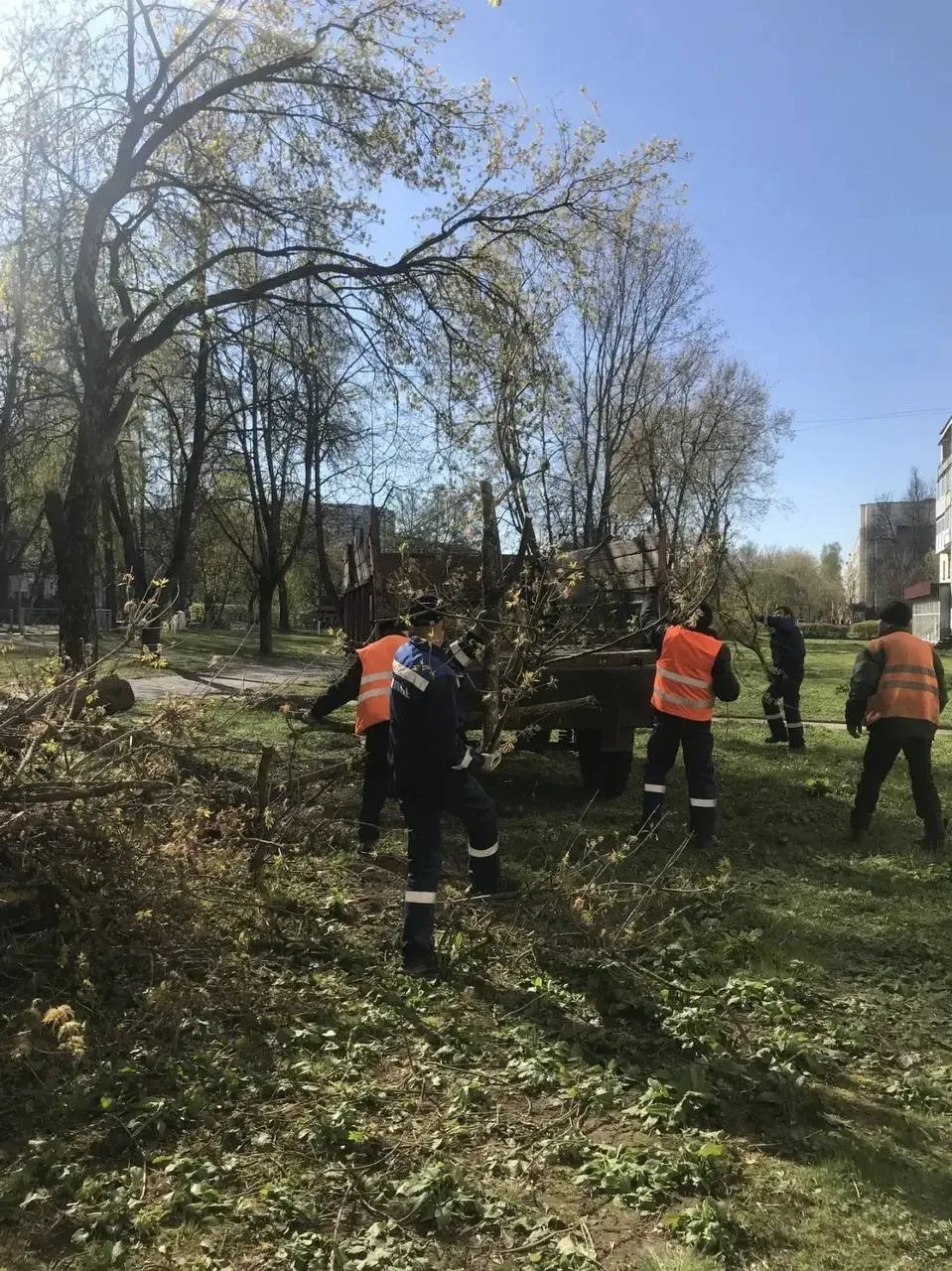 В Тихвине проведут ревизию деревьев во дворах 🌳  Начало недели оказалось крайне сложным из-за шторма