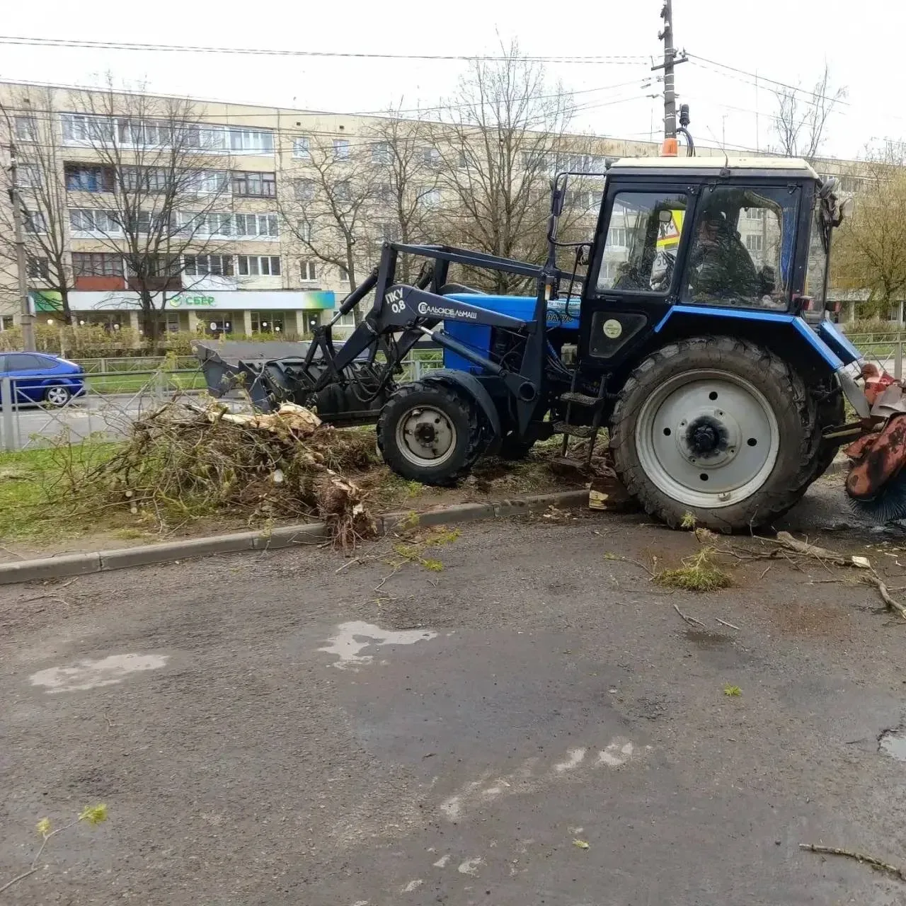 В Тихвине проведут ревизию деревьев во дворах 🌳  Начало недели оказалось крайне сложным из-за шторма