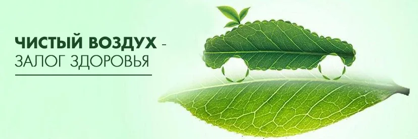 🌿 Экоурок «Чистый  воздух — здоровье каждого»:  учимся беречь планету  вместе! 🌿   В школе проходят 