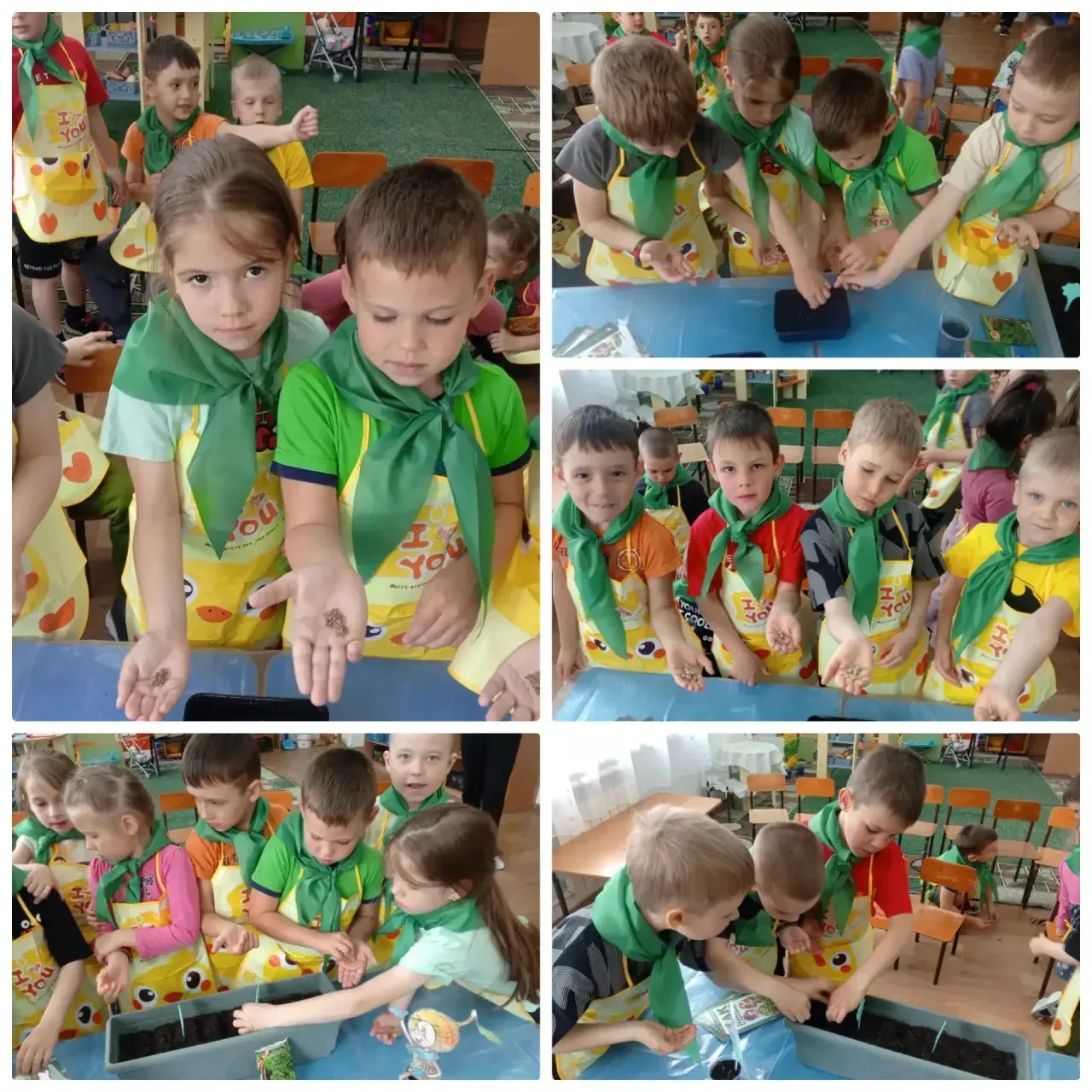 🌱 Маленькие чудеса на подоконнике! 🌱  Наши юные эколята из старшей группы № 7 взялись за большое дел