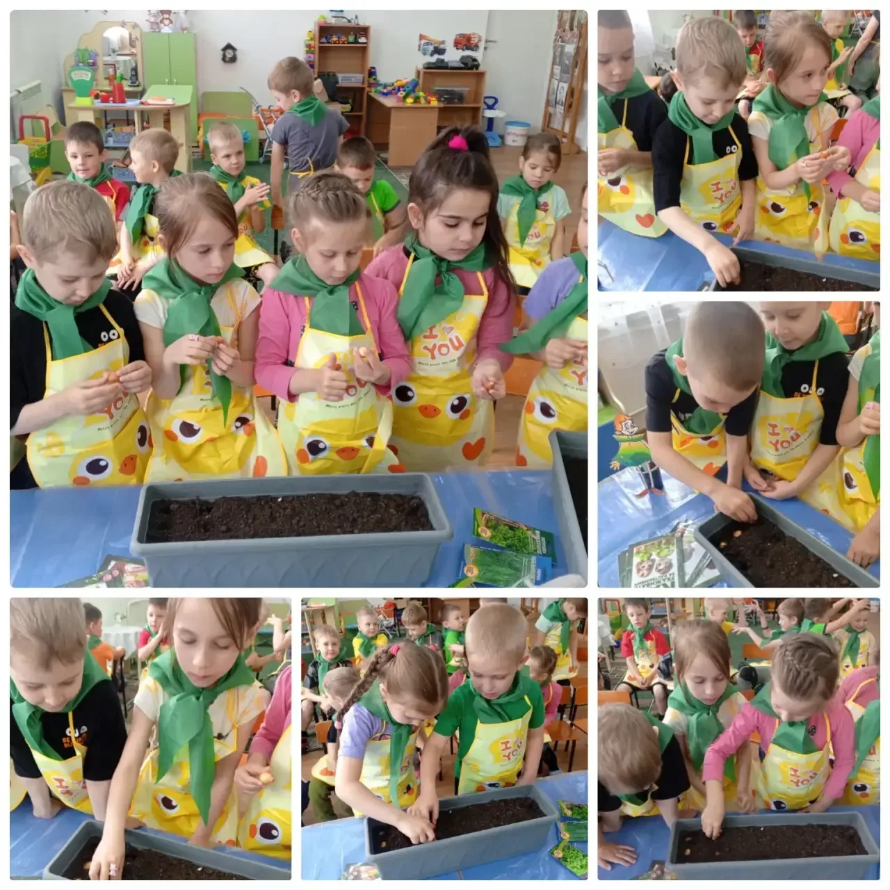 🌱 Маленькие чудеса на подоконнике! 🌱  Наши юные эколята из старшей группы № 7 взялись за большое дел