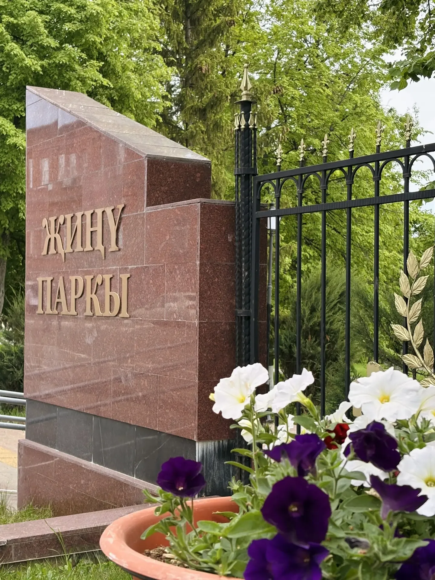 До лета осталось две недели, а Лаишево уже цветет.   Делимся кадрами распустившихся цветов 🌸