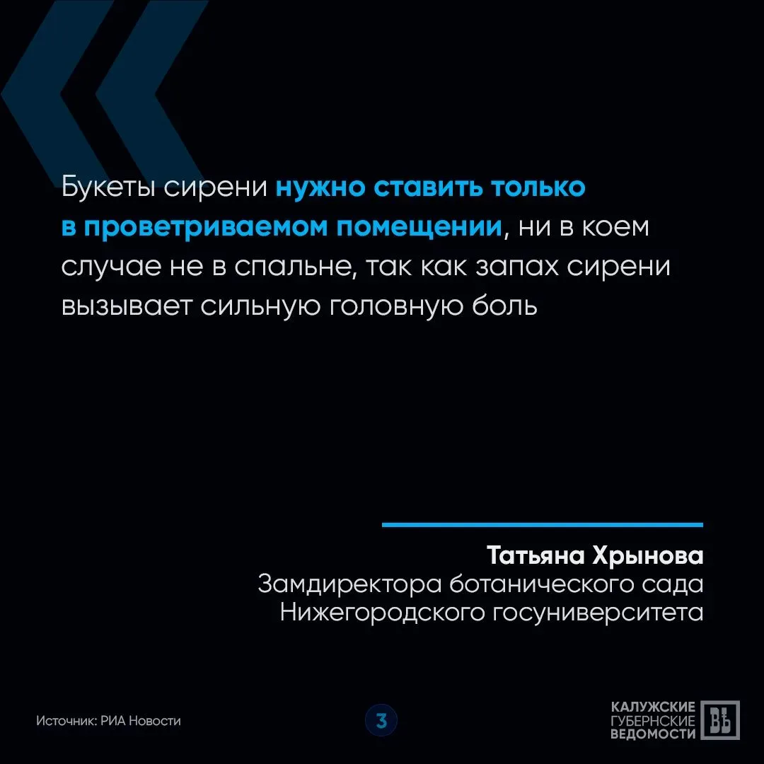 🤔 Почему приносить домой сирень опасно для здоровья и кошелька?  «КГВ» объясняют в карточках! 👆 Отпр