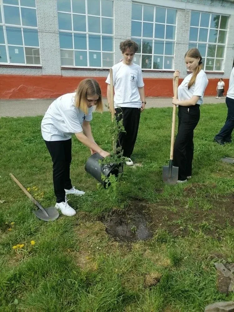 🌿 19 мая экологический волонтёрский отряд Центра образования "Зеленые пчелки" принял участие во Всер
