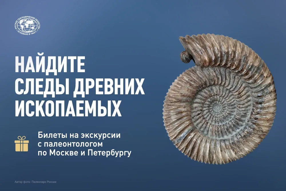 РГО и «Палеопарк России» проводят конкурс ВКонтакте для юных палеонтологов и всех, кто интересуется 