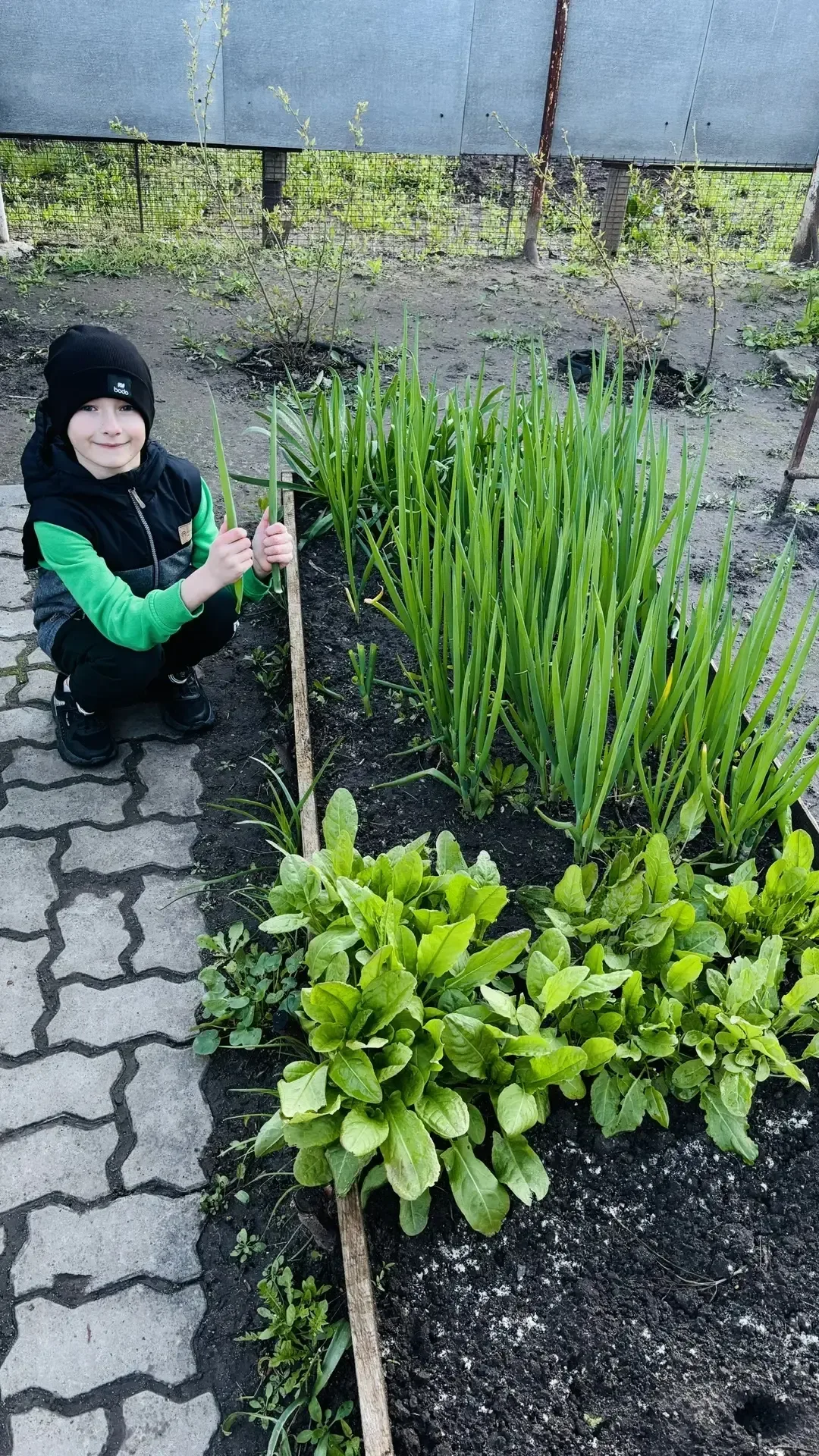 🌱 Майские заботы и радости от Ратислава, 1 «Б»  Встречайте нового участника фотокросса "Пока сады цв