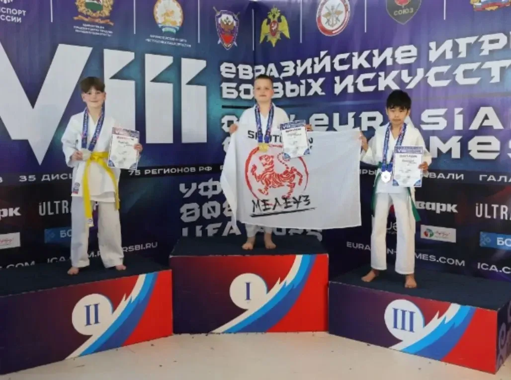 16 мая в г. Уфа прошли VIII Открытые Евразийские Игры боевых искусств, мультиспортивное мероприятие,