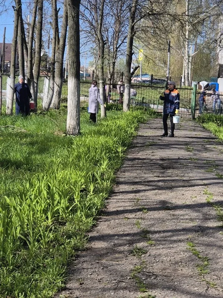 2 мая сотрудники школы провели субботник по наведению порядка на территории, окружающей школу, и у п