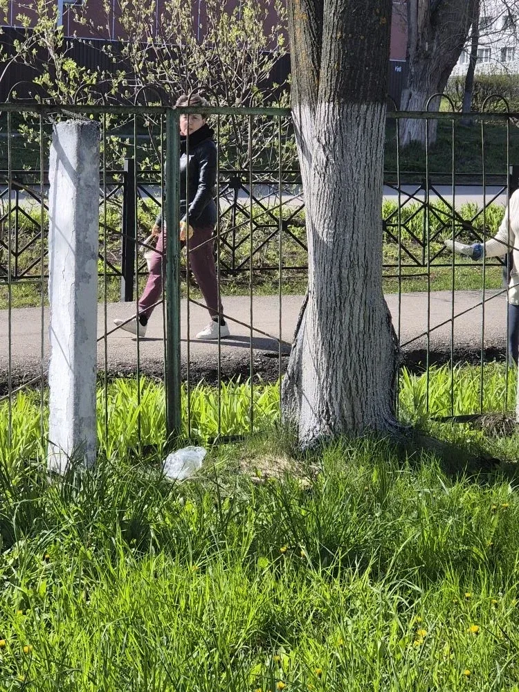 2 мая сотрудники школы провели субботник по наведению порядка на территории, окружающей школу, и у п
