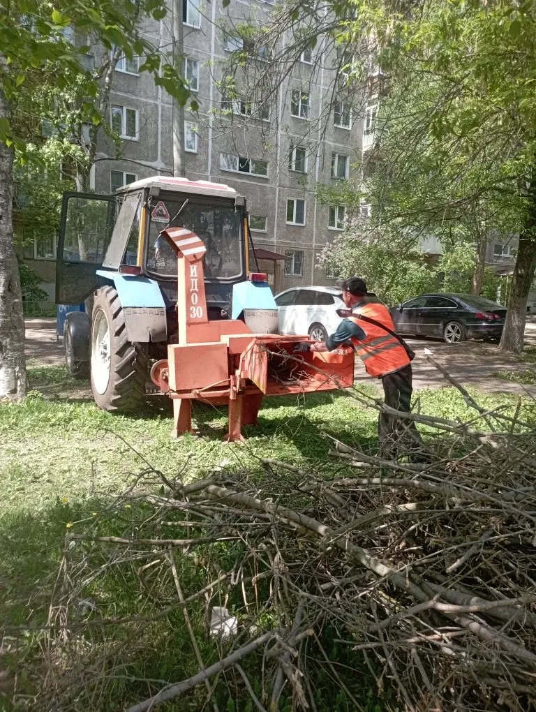 В рамках благоустройства территорий проводим санитарную обрезку деревьев: выполняем вырезку сухих су