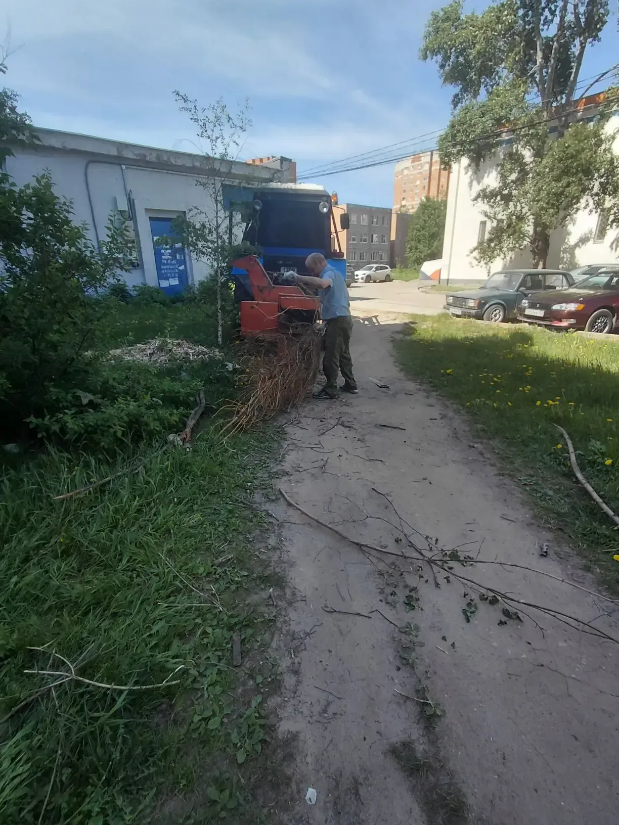 В рамках благоустройства территорий проводим санитарную обрезку деревьев: выполняем вырезку сухих су