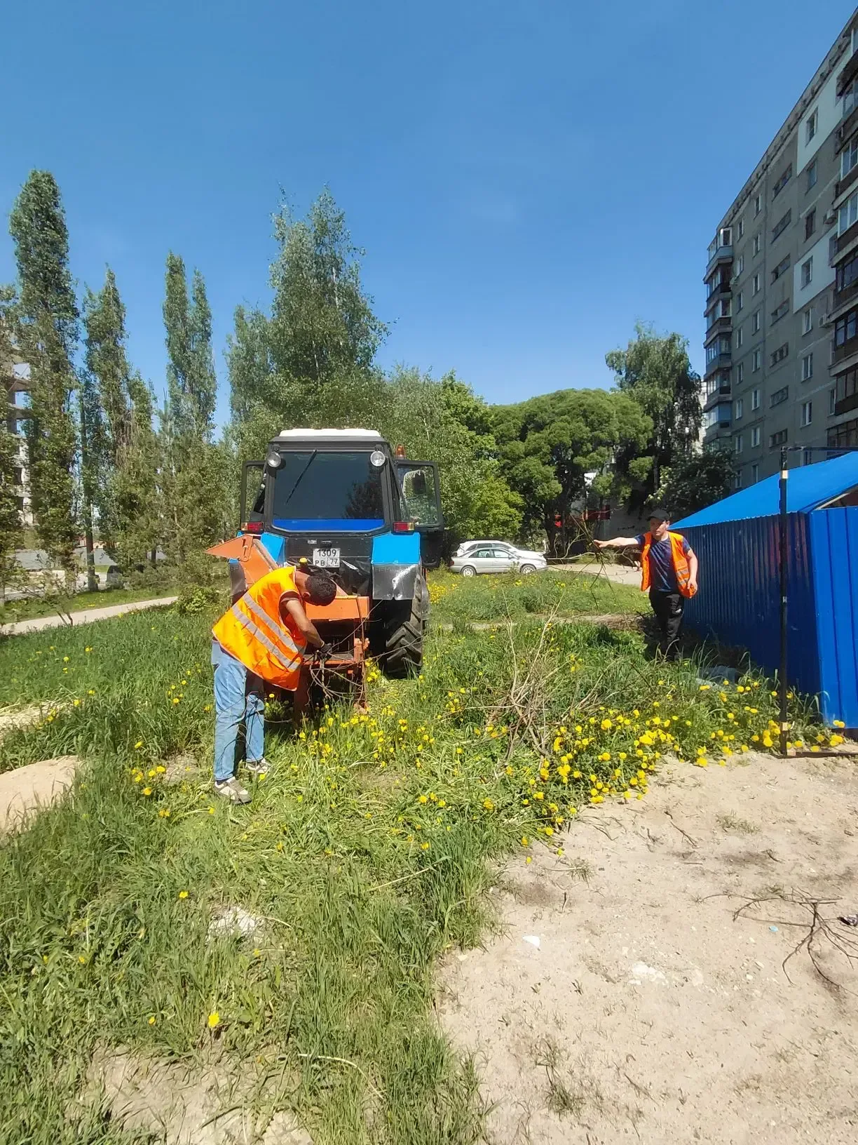 В рамках благоустройства территорий проводим санитарную обрезку деревьев: выполняем вырезку сухих су