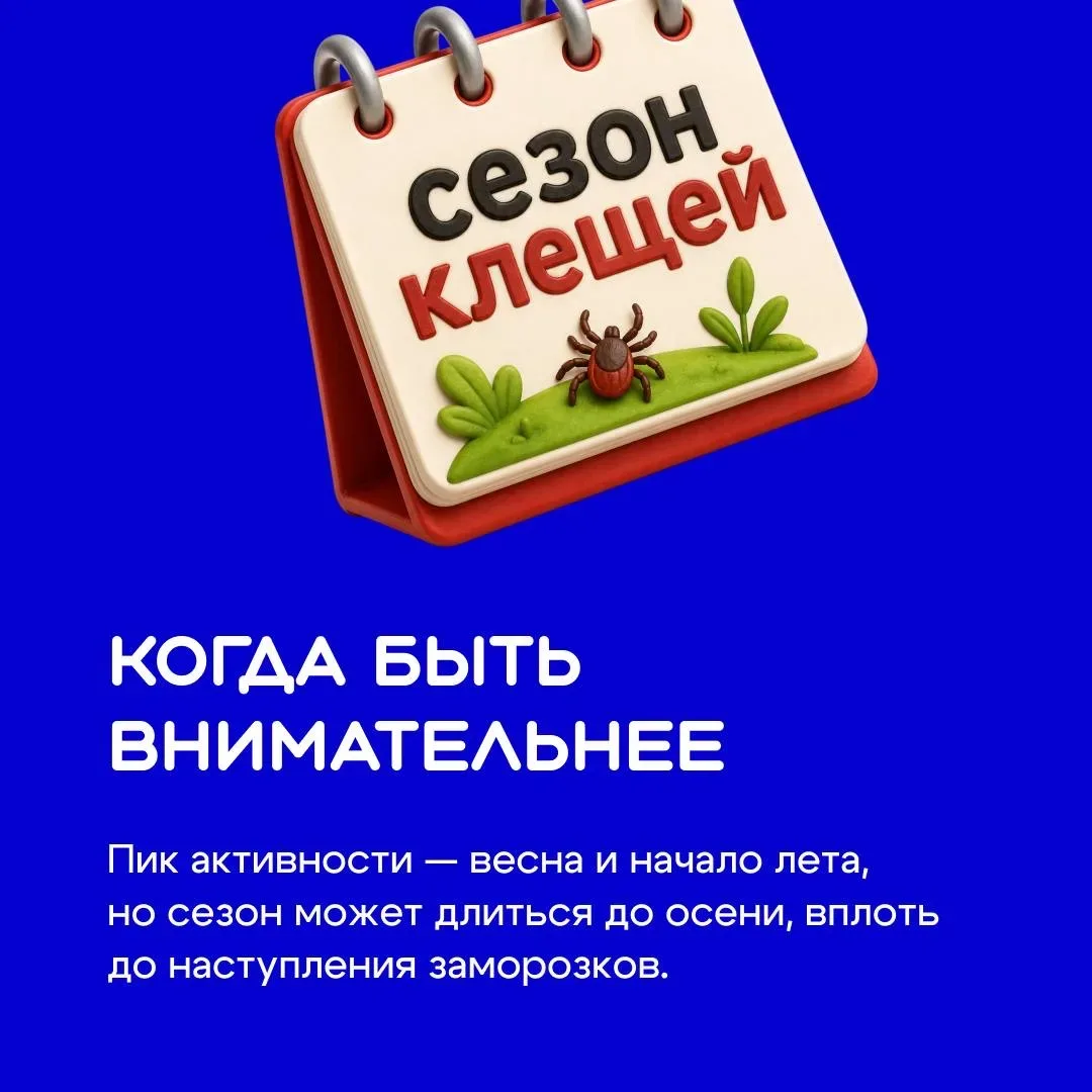 Отдых на природе кажется безопасным — пока не вспоминаешь о тех, кого почти невозможно заметить 🪲  К