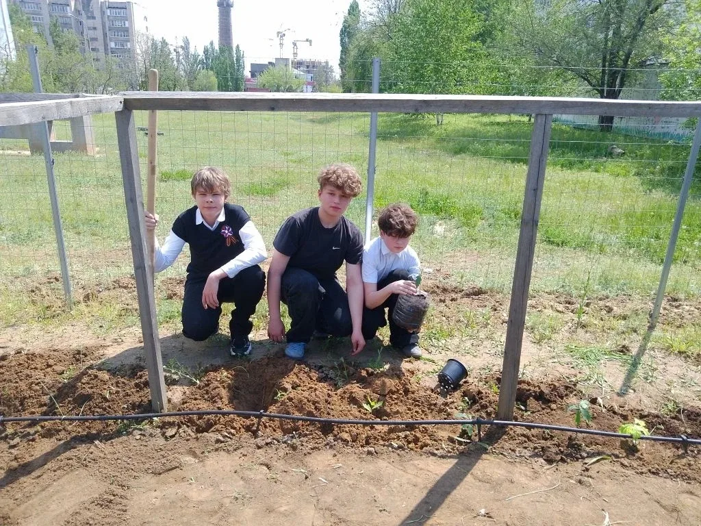 Школьный двор становится зеленее! 🌳 В нашей школе продолжается реализация экологического проекта «Пр