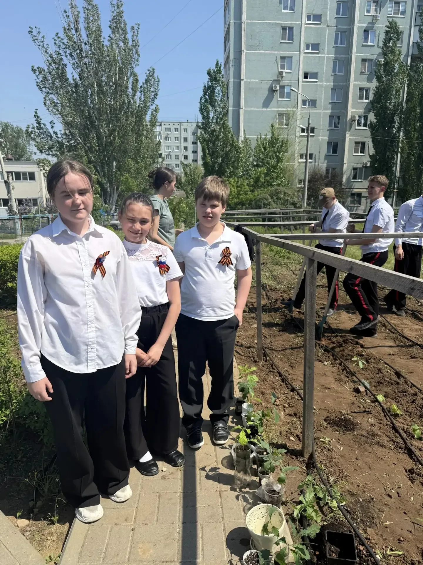 Школьный двор становится зеленее! 🌳 В нашей школе продолжается реализация экологического проекта «Пр