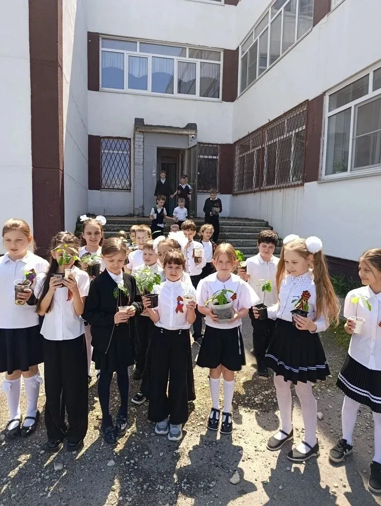 Школьный двор становится зеленее! 🌳 В нашей школе продолжается реализация экологического проекта «Пр