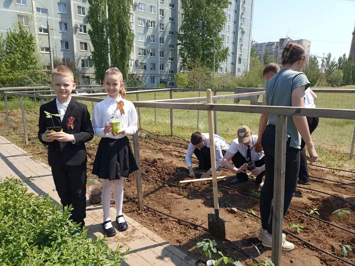 Школьный двор становится зеленее! 🌳 В нашей школе продолжается реализация экологического проекта «Пр