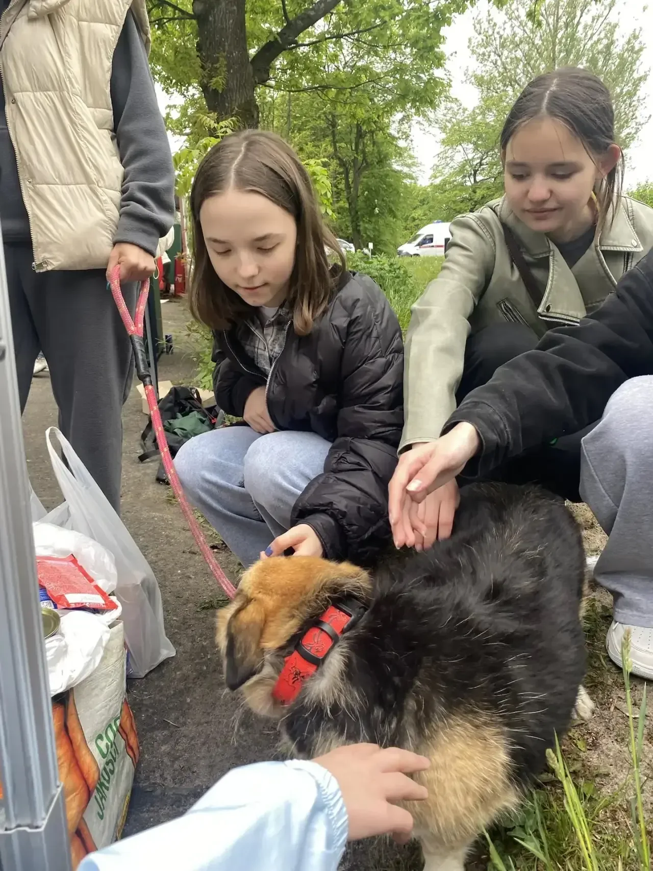Другфест» в парке «Южный»: день добра, любви и хвостатых друзей 🐾❤️  16 мая учащиеся 7 «А» класса вм