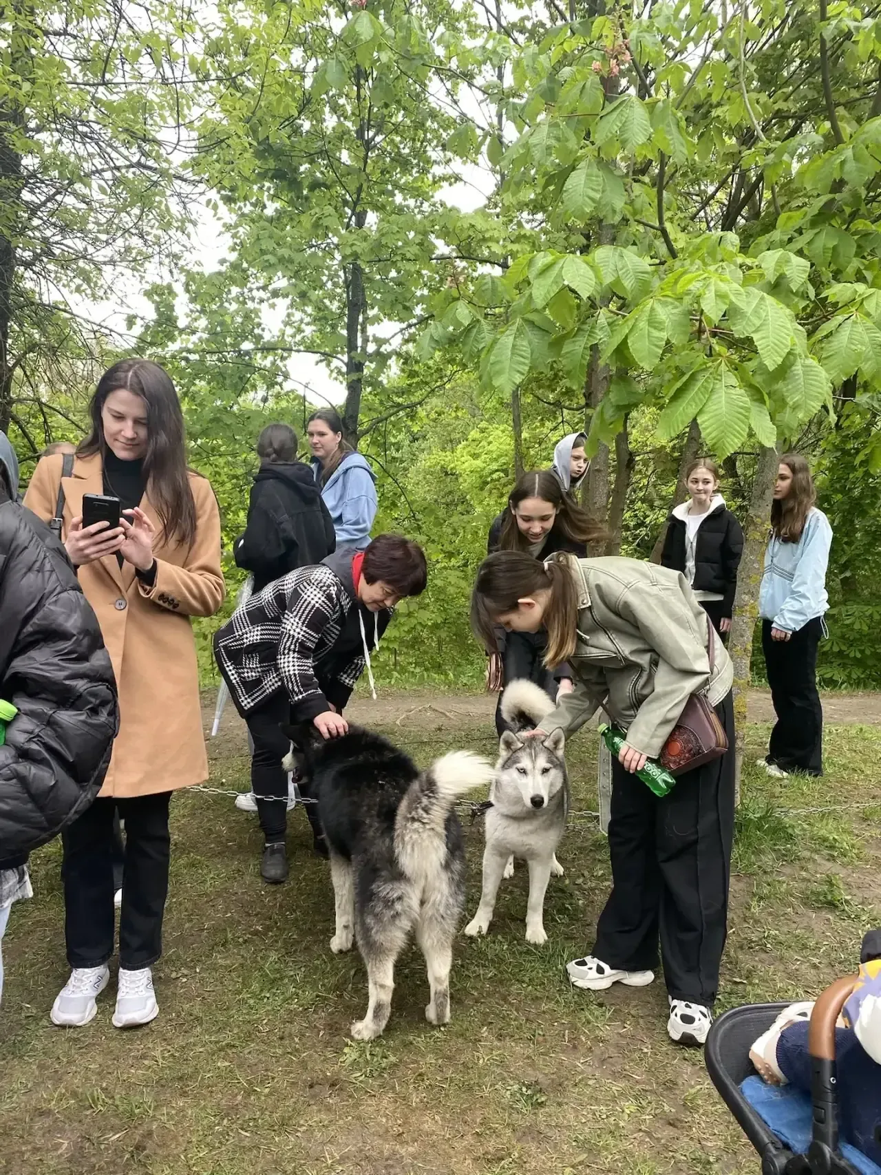 Другфест» в парке «Южный»: день добра, любви и хвостатых друзей 🐾❤️  16 мая учащиеся 7 «А» класса вм