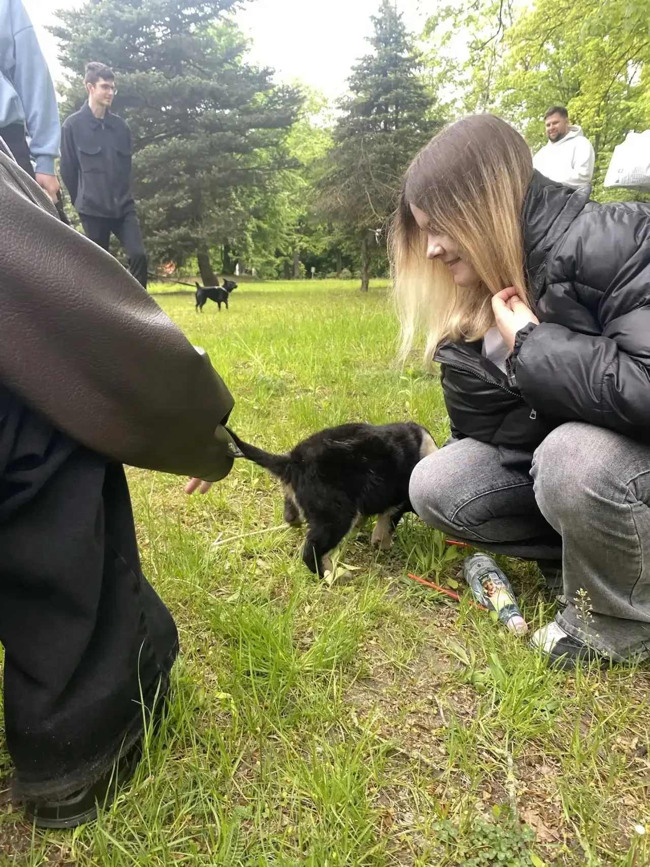 Другфест» в парке «Южный»: день добра, любви и хвостатых друзей 🐾❤️  16 мая учащиеся 7 «А» класса вм