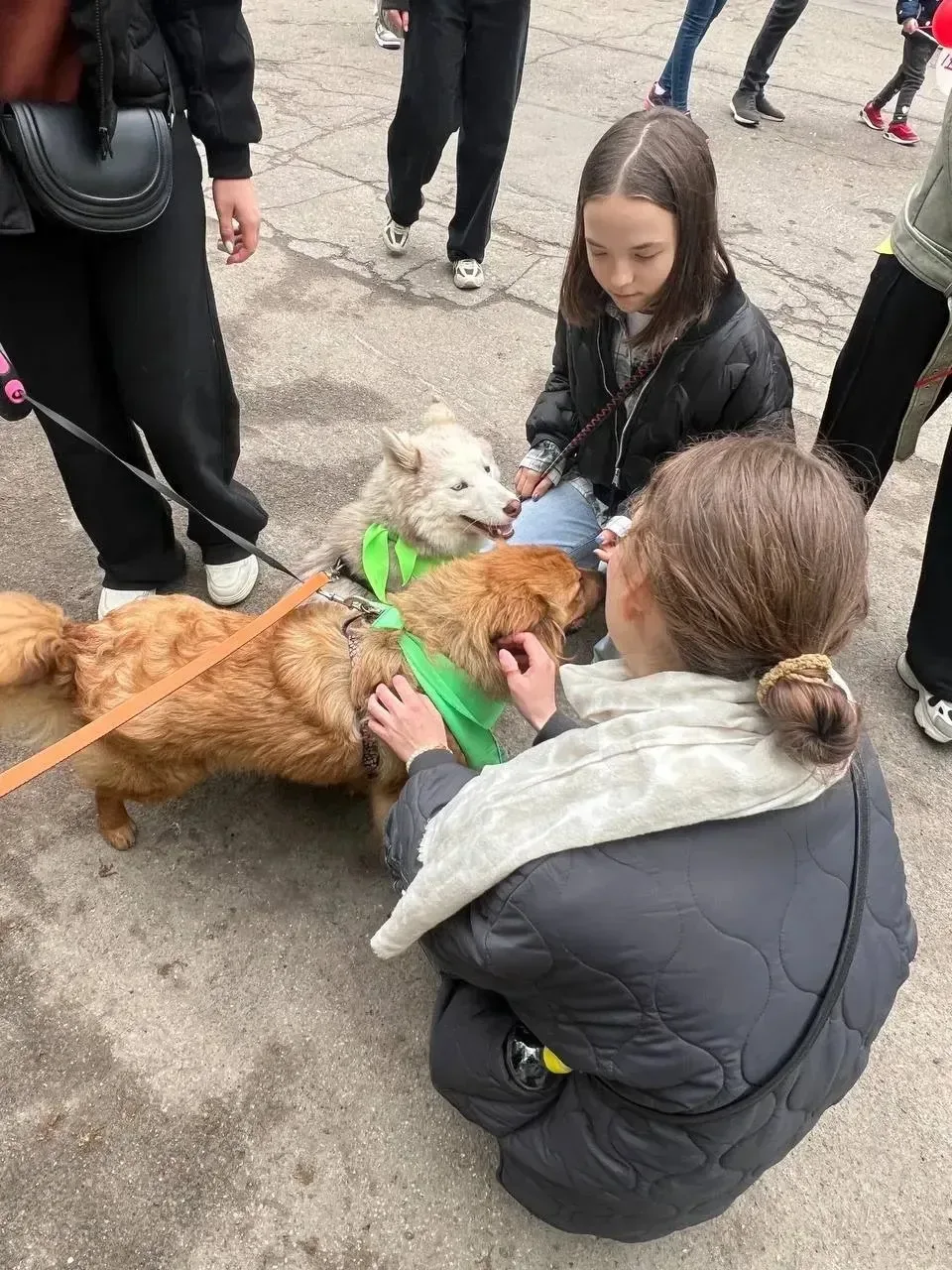 Другфест» в парке «Южный»: день добра, любви и хвостатых друзей 🐾❤️  16 мая учащиеся 7 «А» класса вм