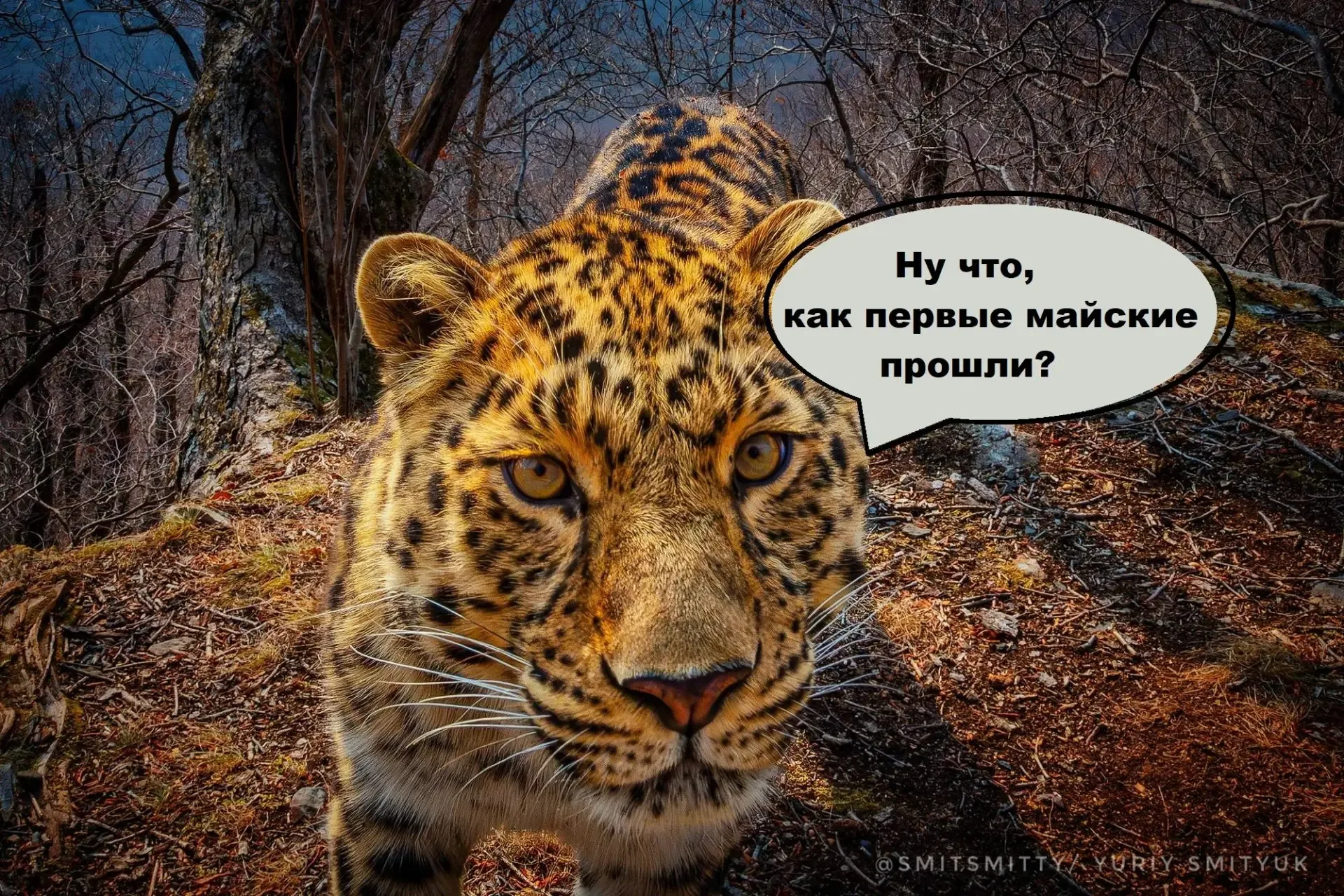 .. а ко вторым готовы?😁