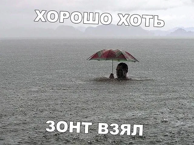 Приморье постепенно становится… субтропиками  Учёные заметили: климат в регионе меняется, и Приморье