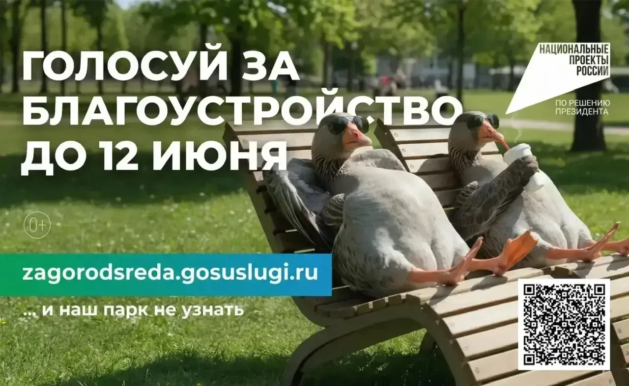 ⚡️Жители ЦЕНТРАЛЬНОГО района❗  Мы можем все вместе проголосовать за благоустройство НАШЕГО района! О